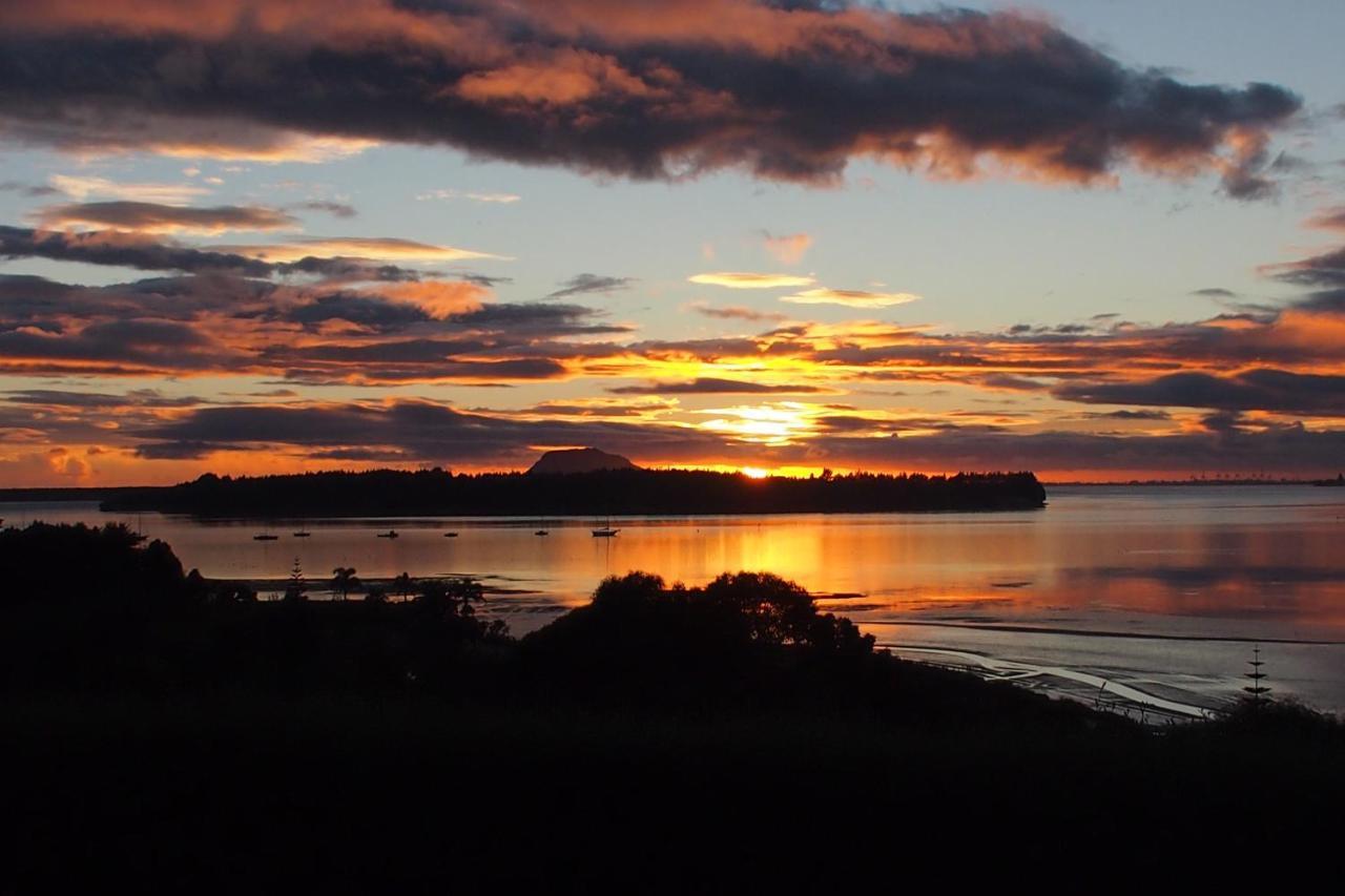 Mangawhai Bay B&B Omokoroa Buitenkant foto